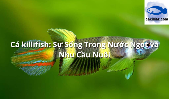 Cá killifish: Sự Sống Trong Nước Ngọt và Nhu Cầu Nuôi