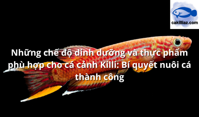 Những chế độ dinh dưỡng và thực phẩm phù hợp cho cá cảnh Killi: Bí quyết nuôi cá thành công